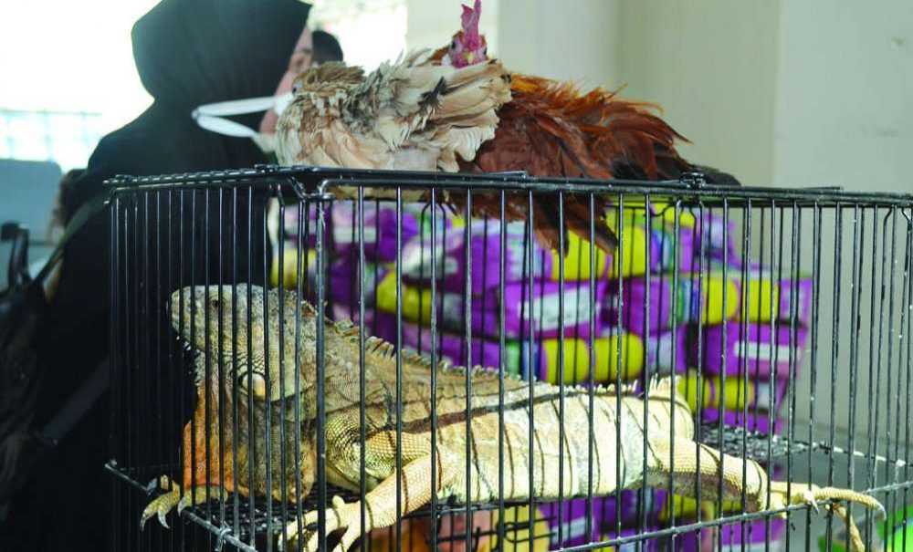 2'incisi Düzenlenen Evcil Kanatlılar Fuarı'na İlgi Yoğun Oldu