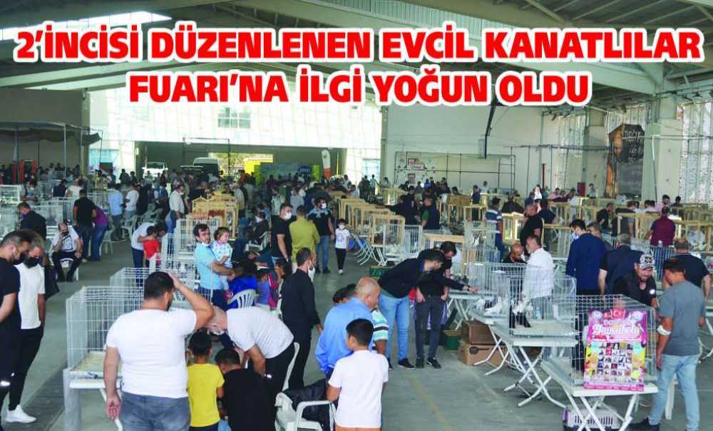 2'incisi Düzenlenen Evcil Kanatlılar Fuarı'na İlgi Yoğun Oldu