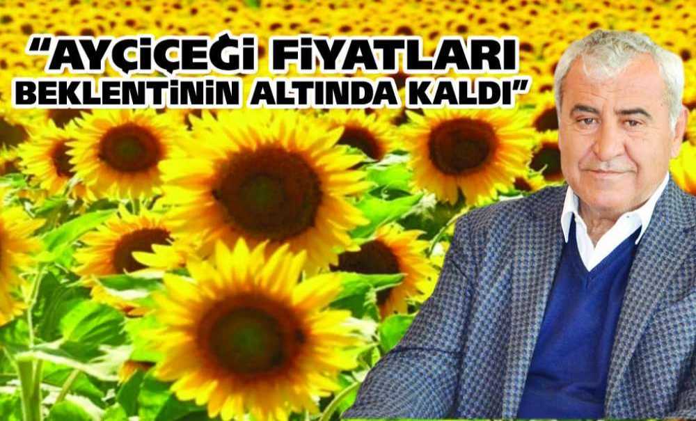 “Ayçiçeği Fiyatları Beklentinin Altında Kaldı