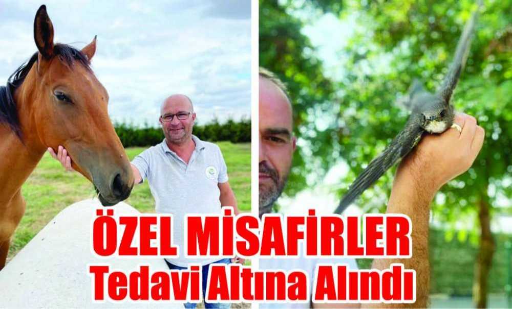 Özel Misafirler Tedavi Altına Alındı