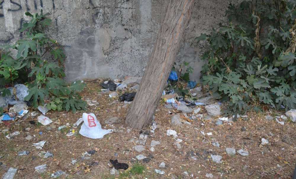 Yine Uyuşturucu Yine O Park!