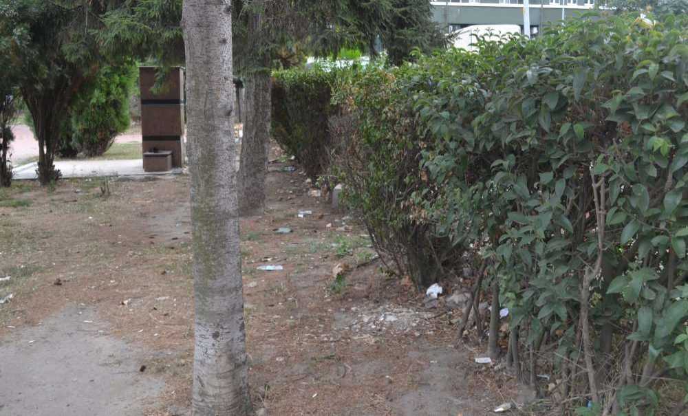 Yine Uyuşturucu Yine O Park!