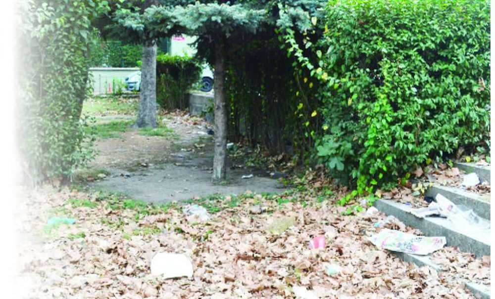 Yine Uyuşturucu Yine O Park!