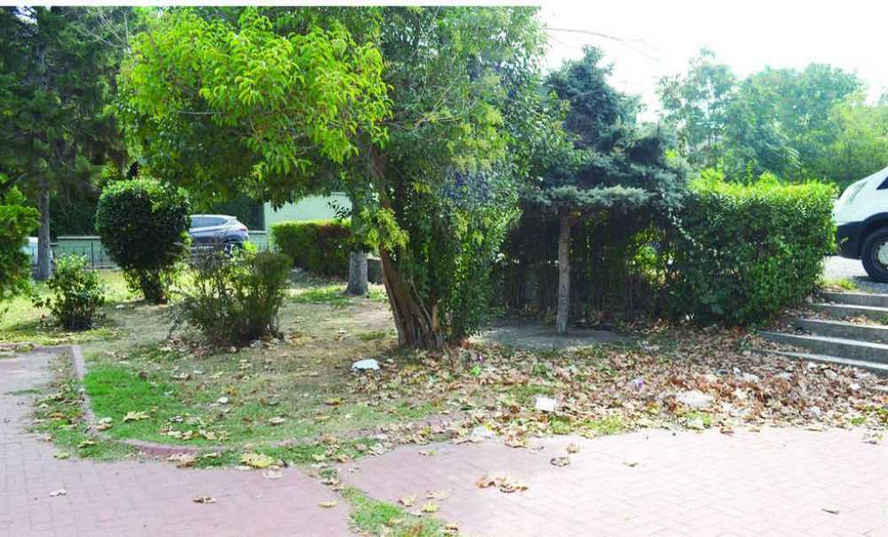 Bu Parkı Görenler Şaşırıyor!