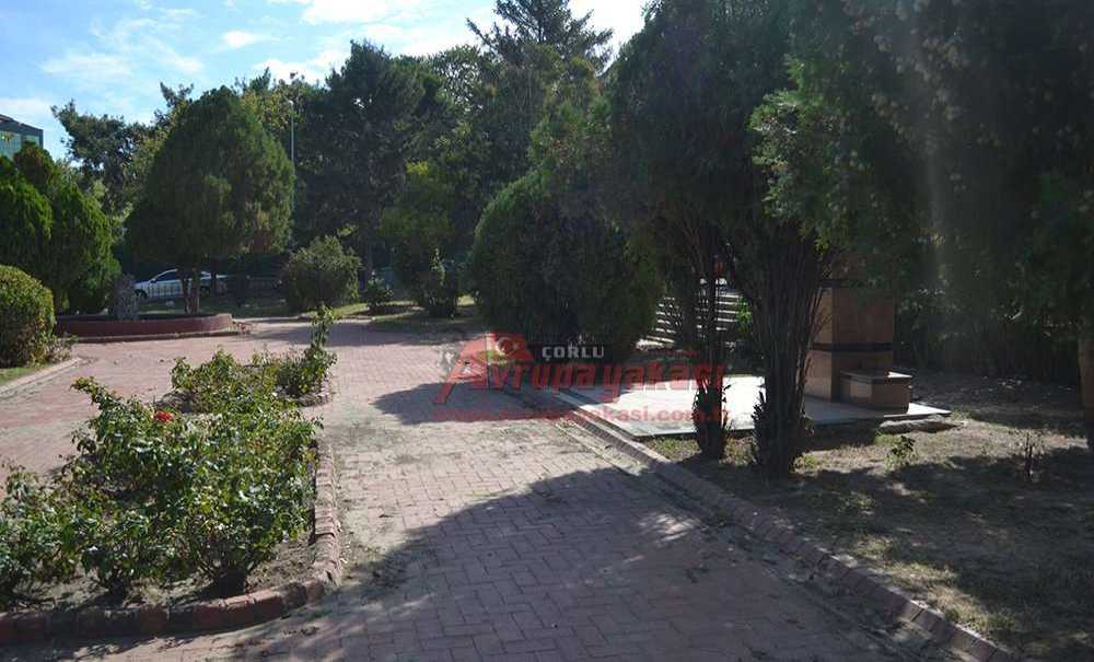 Nihayet Parkın Temizliği Yapıldı