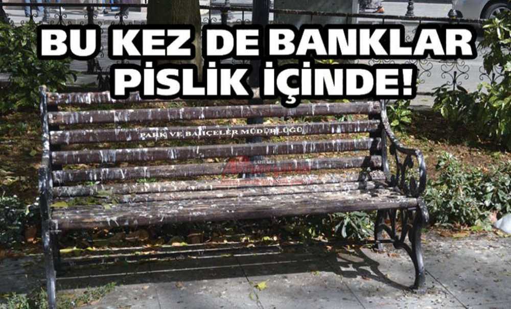 Bu Kez De Banklar Pislik İçinde!