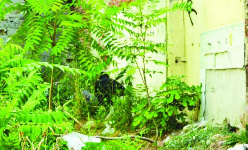 Uyuşturucu Yuvasını Temizlemek İçin Neyi Bekliyorsunuz?