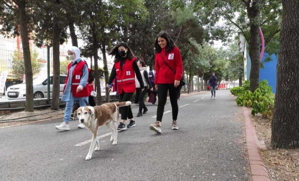 Kızılay Etkinlik Düzenledi