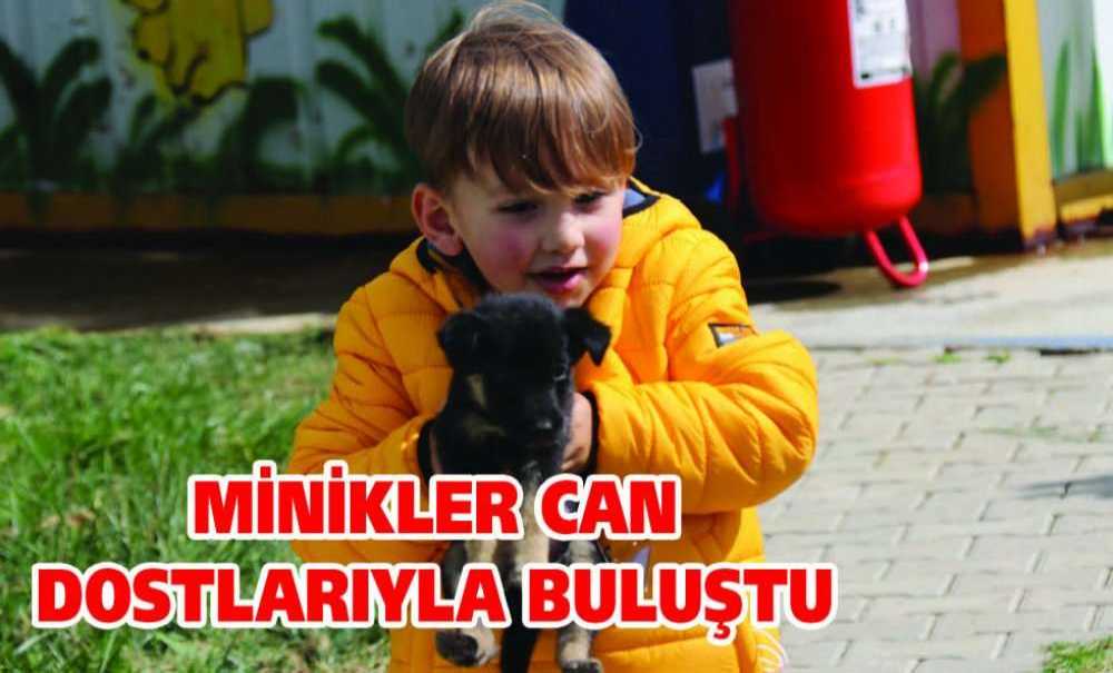 Minikler Can Dostlarıyla Buluştu