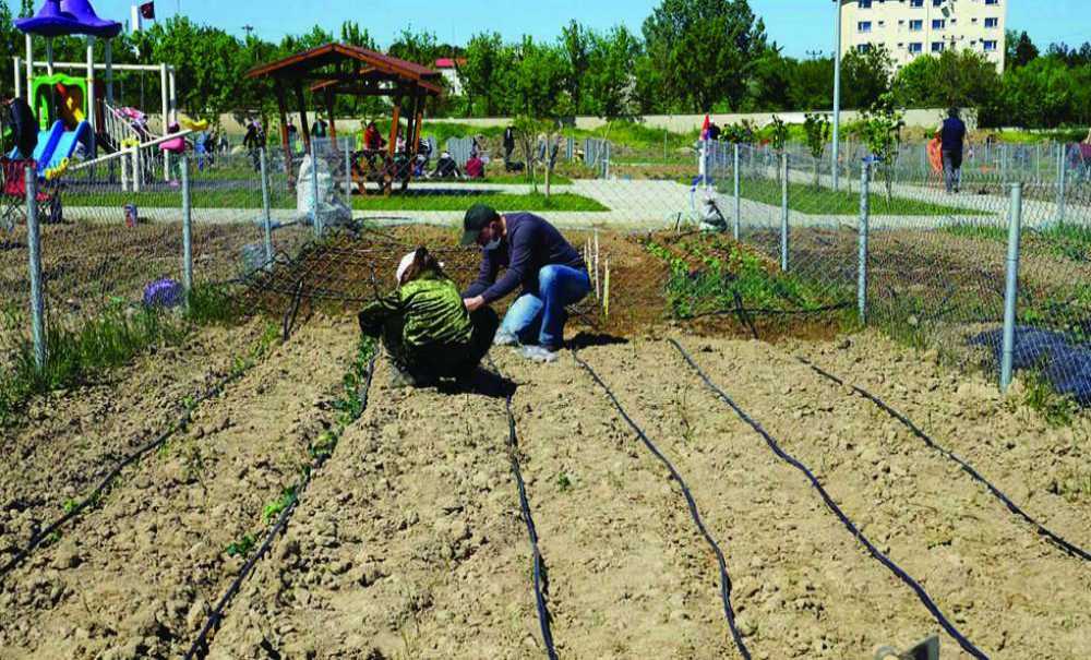 Hobi Bahçeleri İçin Başvurular Başladı