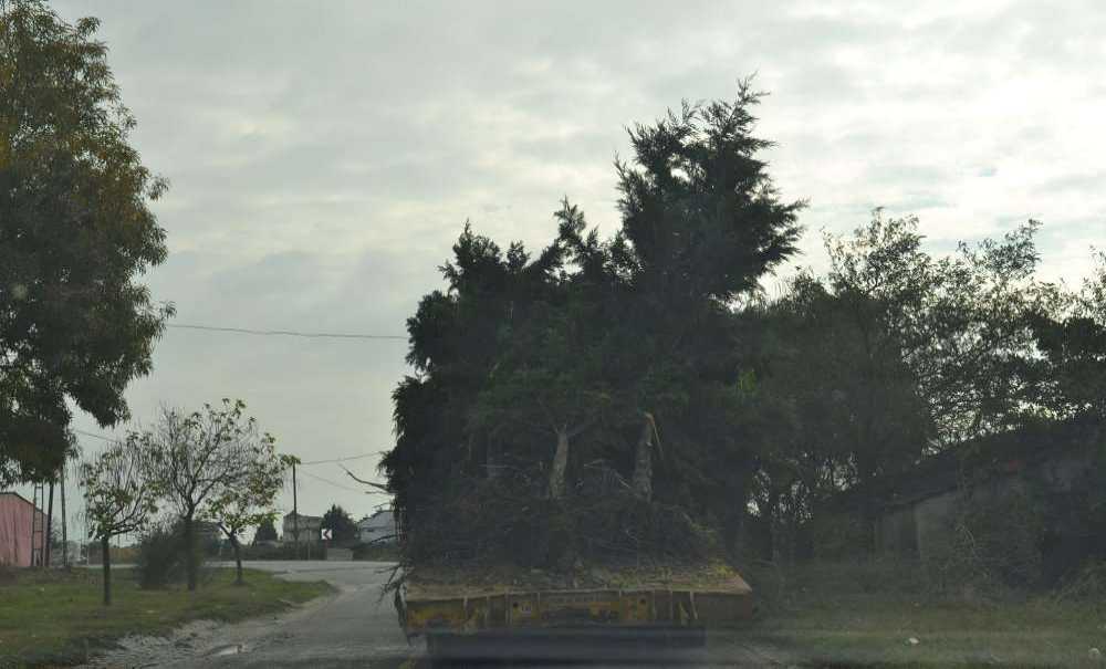 Yıkarak İlerleyen Tir'ı Durduran Olmadı!