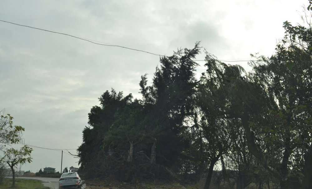 Yıkarak İlerleyen Tir'ı Durduran Olmadı!