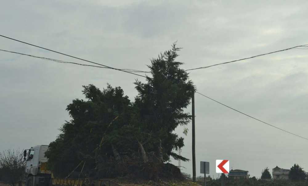 Yıkarak İlerleyen Tir'ı Durduran Olmadı!