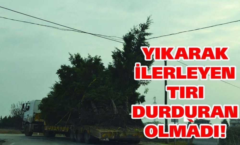 Yıkarak İlerleyen Tir'ı Durduran Olmadı!