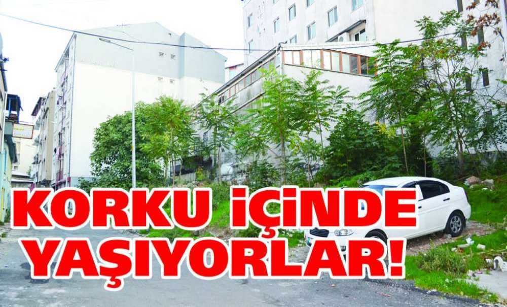 Korku İçinde Yaşıyorlar!