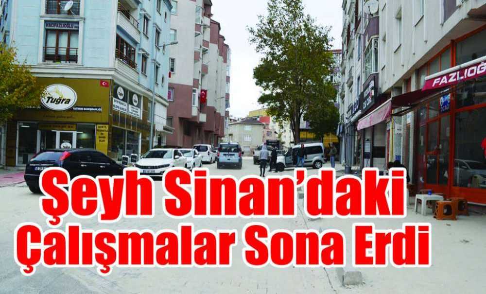 Şeyh Sinan'daki Çalışmalar Sona Erdi