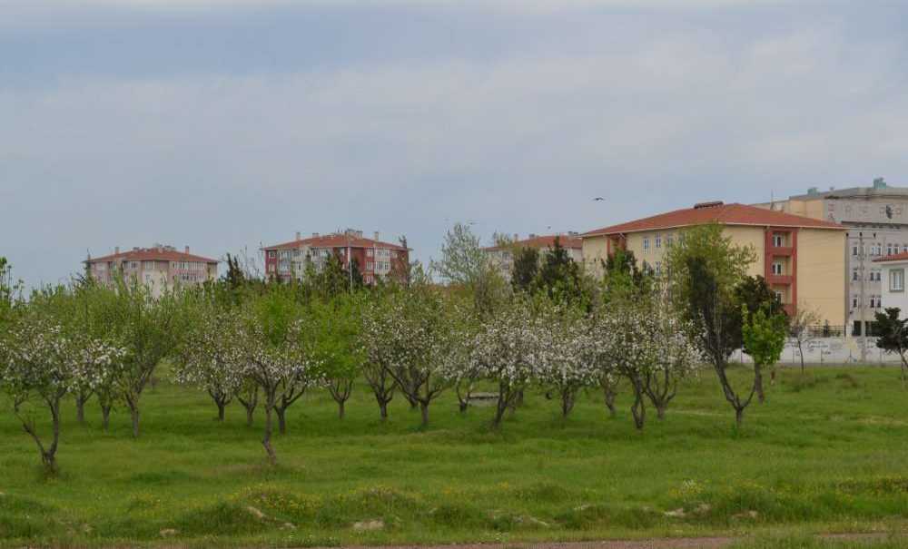 Tema Parkı Hizmet Bekliyor!