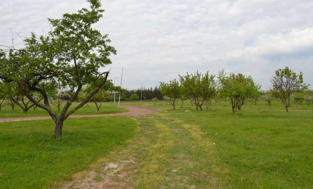 Tema Parkı Hizmet Bekliyor!