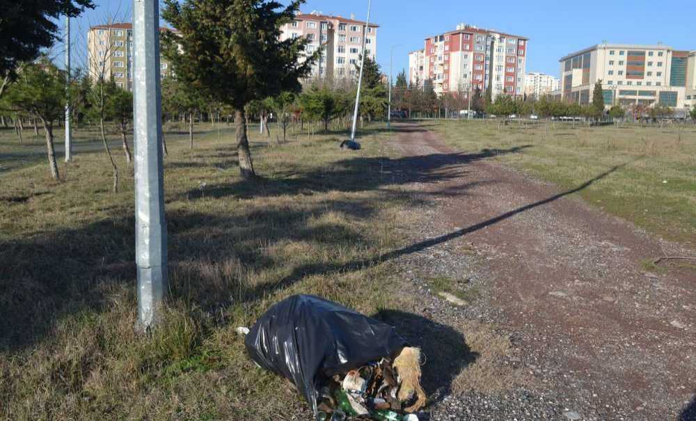 Tema Parkı Hizmet Bekliyor!