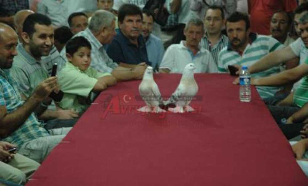 Kanatlı Hayvanları Sevenler Derneği İftarda Buluştu