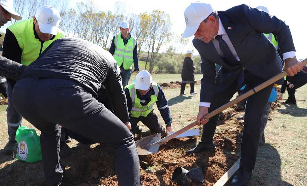 Marmaraererğlisi'nde Ağaç Dikimi Seferberliği