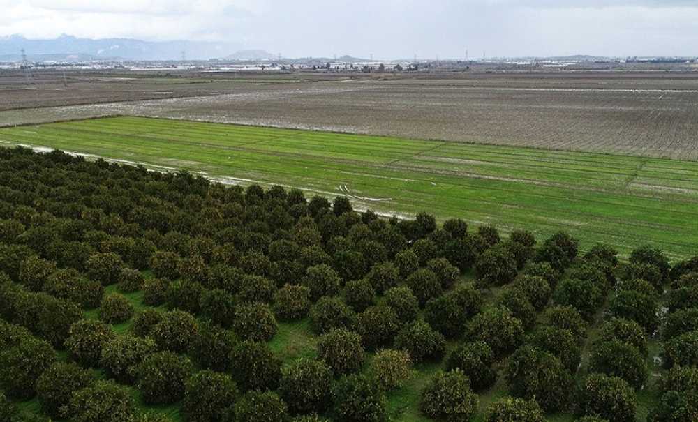 Çiftçi Gübre Bulamıyor