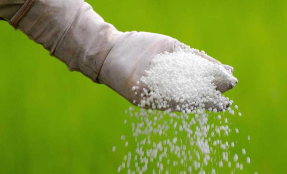 Çiftçi Gübre Bulamıyor