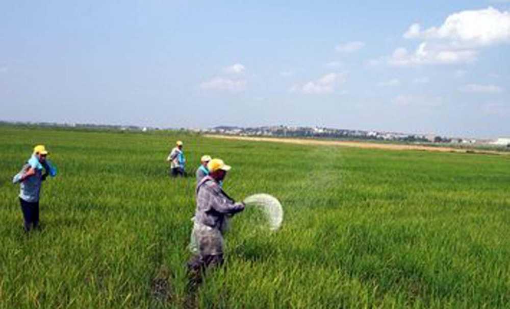 Çiftçi Gübre Bulamıyor