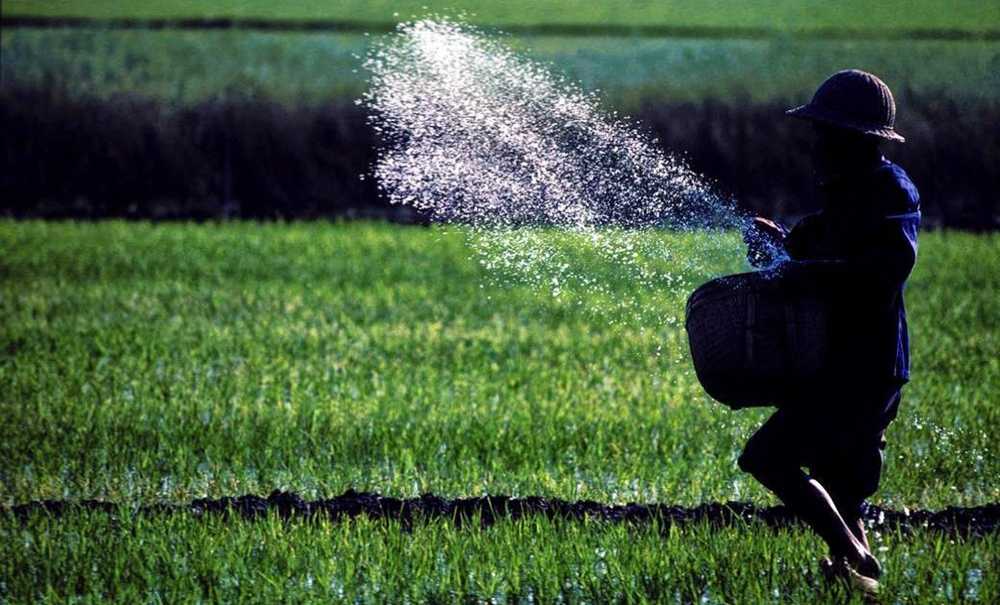 Çiftçi Gübre Bulamıyor