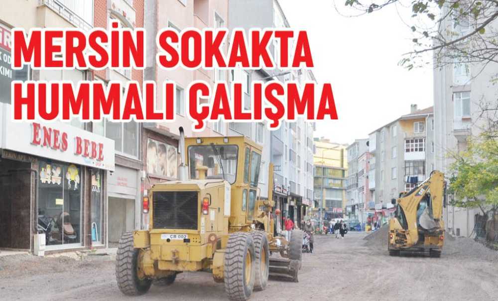 Mersin Sokakta Hummalı Çalışma