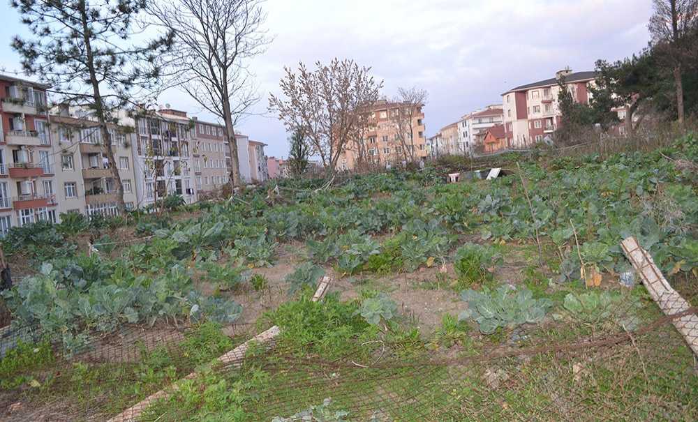 Tahsisi Hala Yapılmadı!