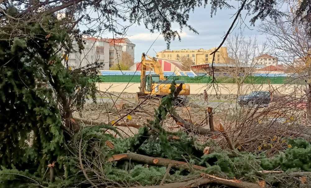 Göz Göre Göre Ağaçlar Kesildi