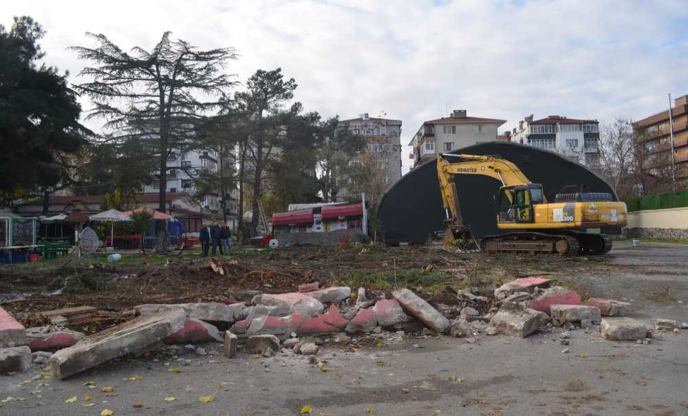 Göz Göre Göre Ağaçlar Kesildi