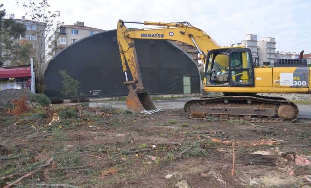 Göz Göre Göre Ağaçlar Kesildi