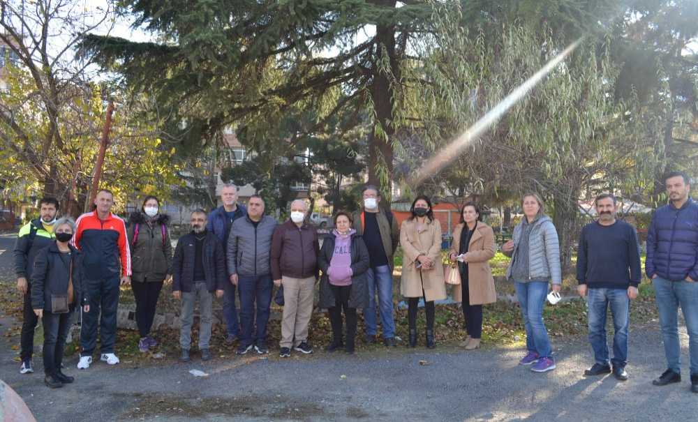 Göz Göre Göre Ağaçlar Kesildi