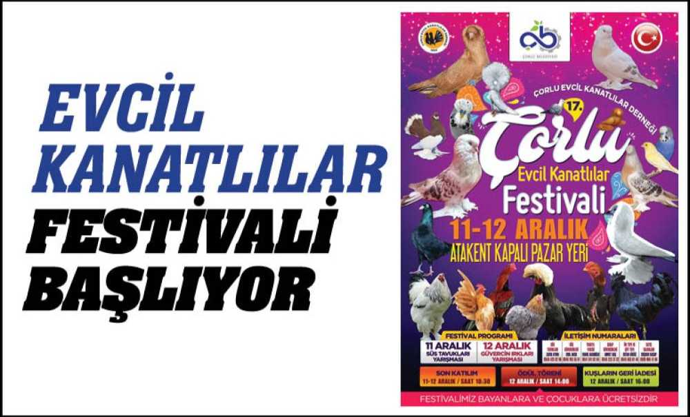 Kanatlı Hayvan Festivali Başlıyor