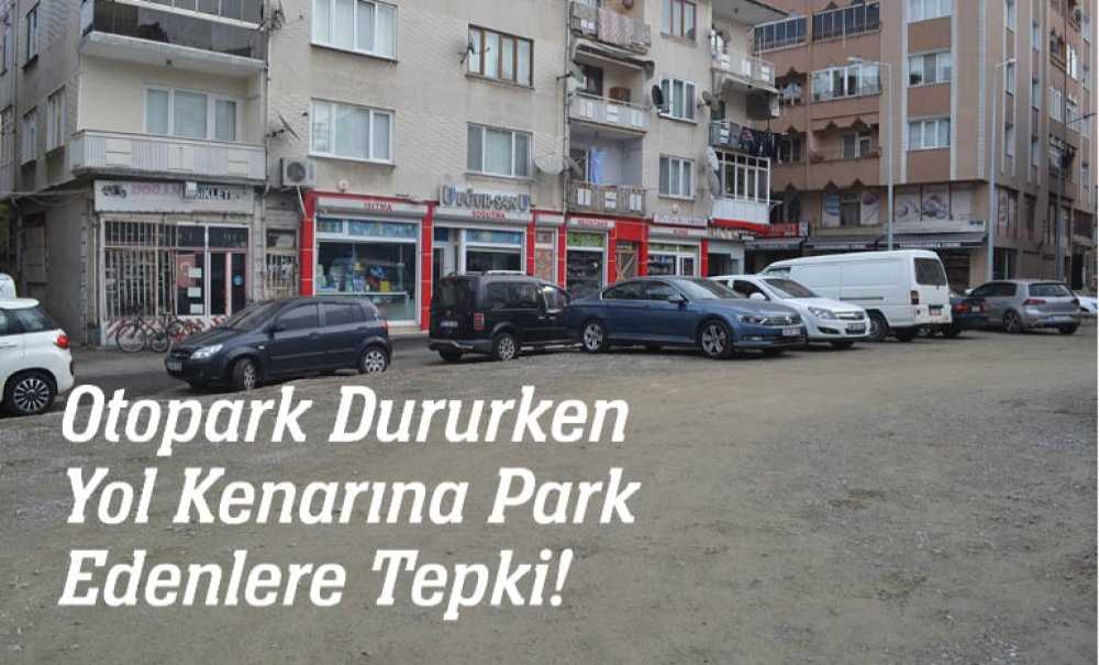 Otopark Dururken Yol Kenarına Park Edenlere Tepki!