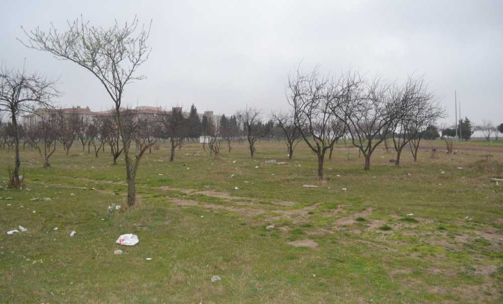 Çorlulu Vatandaşlar Tema Parkı'nın Atıl Durumda Olmasını Eleştirdi: Yeşil Alan Var Ama Kullanamıyoruz?