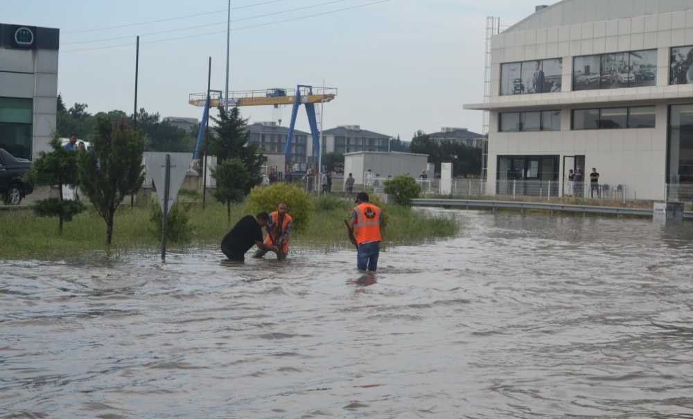D-100 Karayolu Çözüm Bekliyor!
