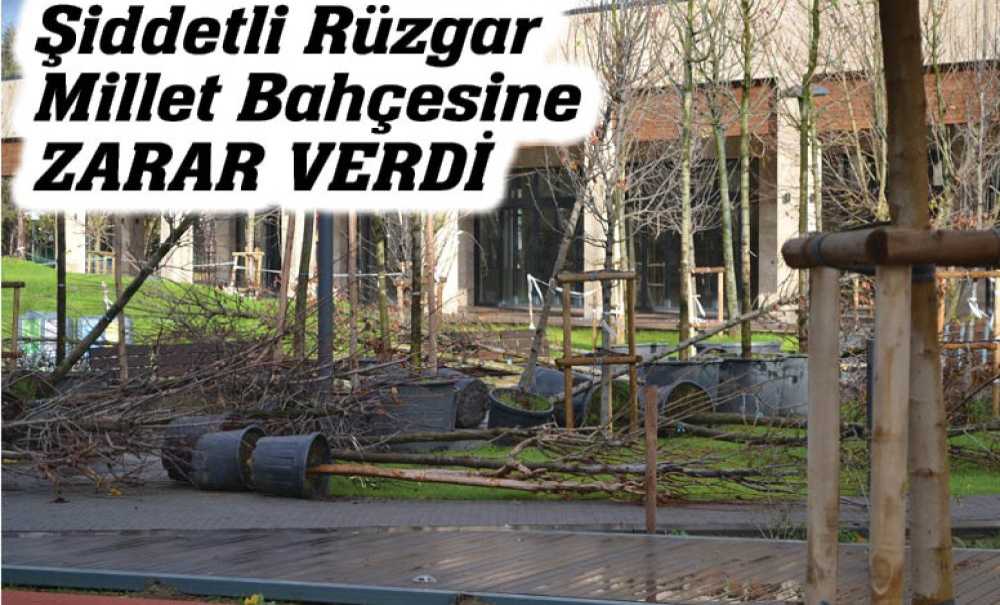 Şiddetli Rüzgar Millet Bahçesine Zarar Verdi