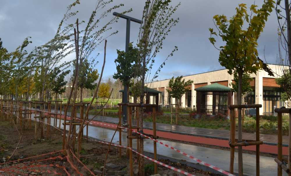 Şiddetli Rüzgar Millet Bahçesine Zarar Verdi