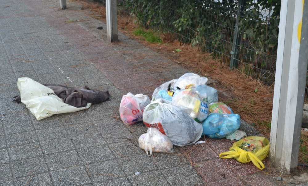 Çöp Kutusu Dururken, Çöpler Yerlere Atıldı