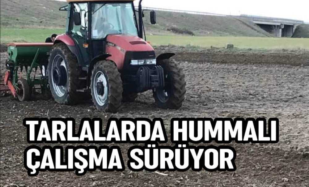 Tarlalarda Hummalı Çalışma Sürüyor