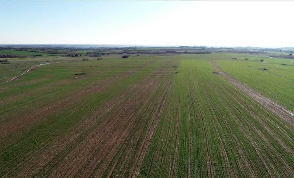 Tarlalarda Hummalı Çalışma Sürüyor