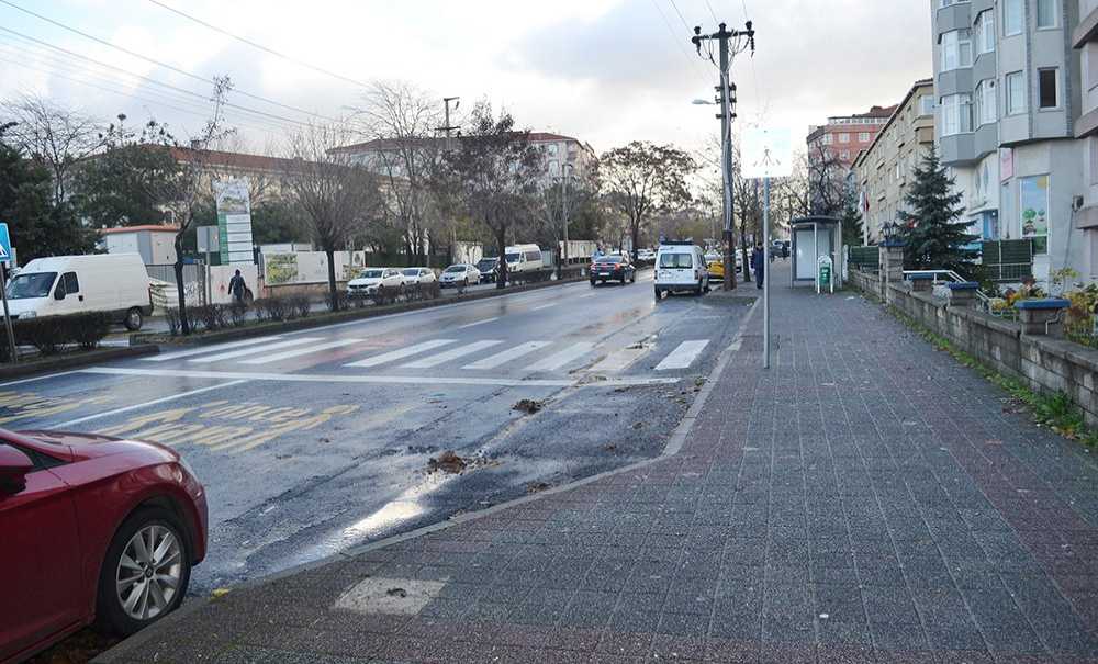 Yaya Geçidini Gören Şaşırıyor!