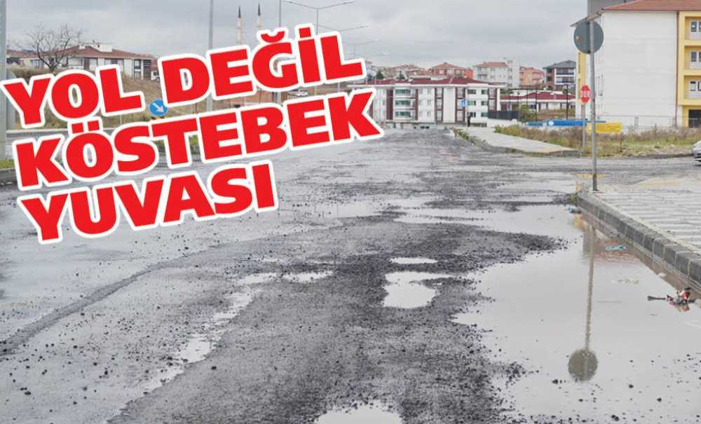 Yol Değil Köstebek Yuvası
