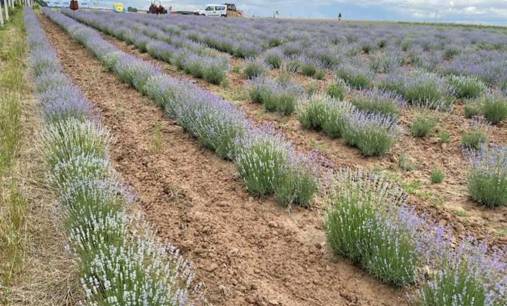 “2022 Yılında Da Hizmetlerimiz Devam Edecek”