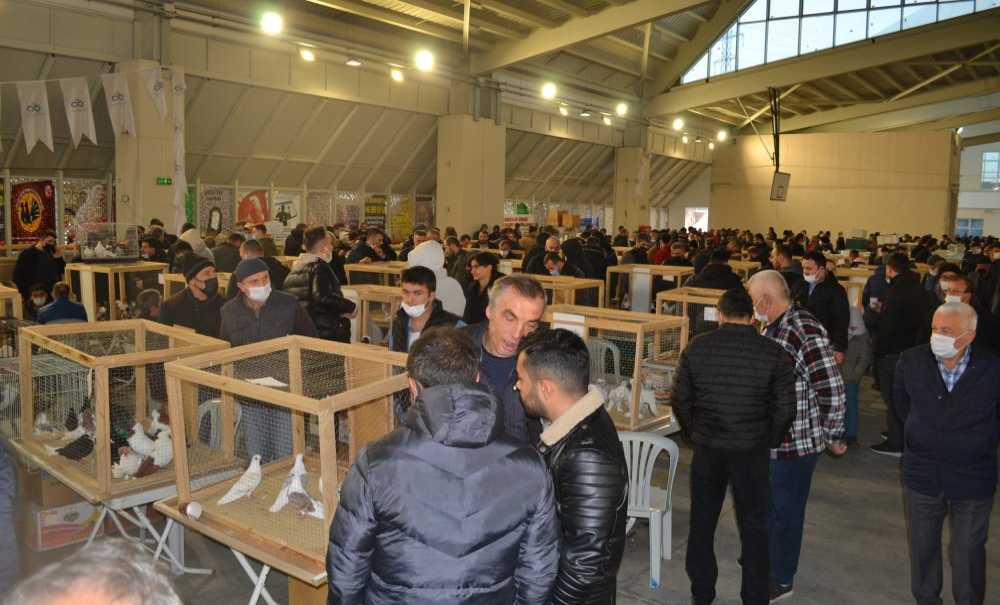 Festival Büyük İlgi Gördü