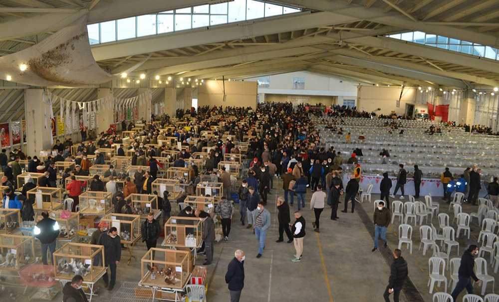 Festival Büyük İlgi Gördü