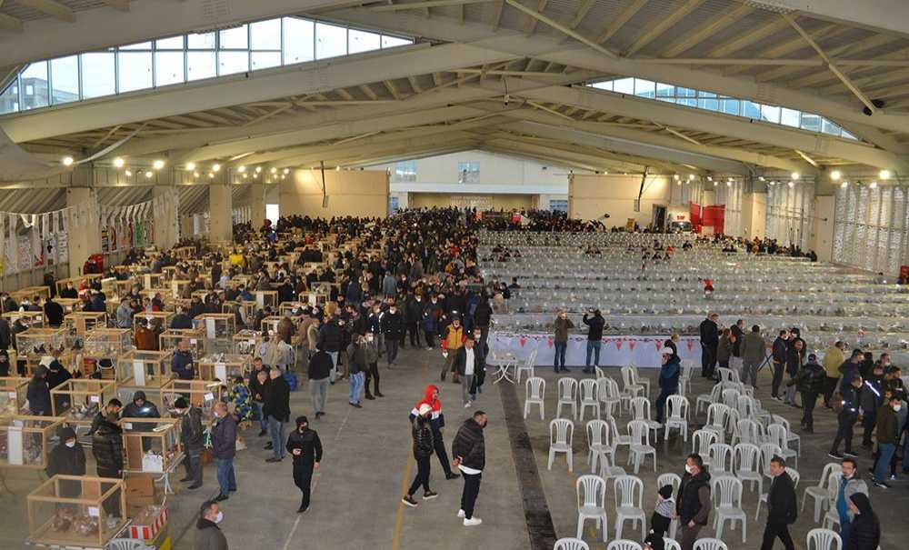 Festival Büyük İlgi Gördü